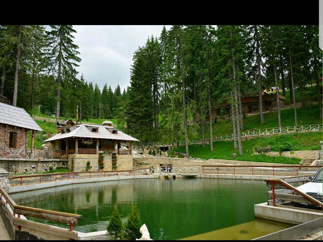 Vlasicka Prica Eko Fis * Vlasic