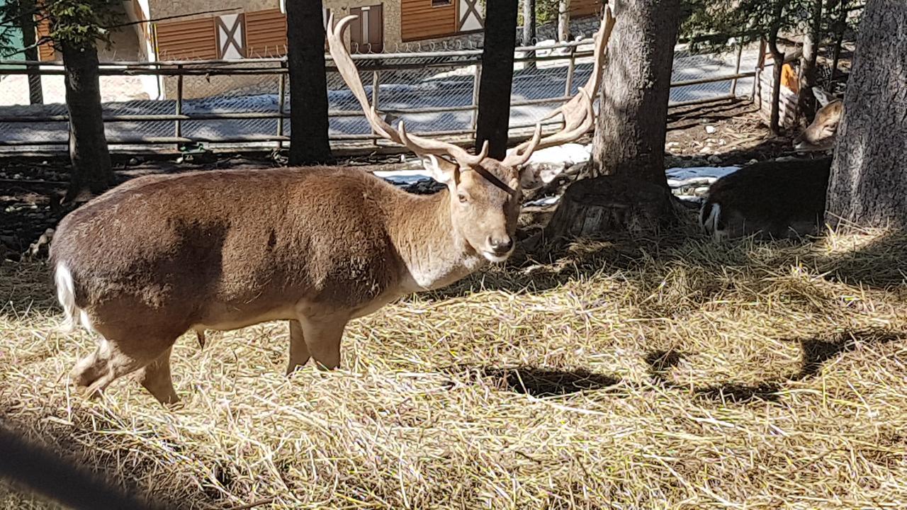 Apartma Vlasicka Prica Eko Fis Vlasic